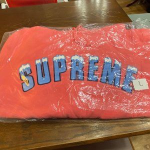 Supreme Icy arc Hoodie LARGE